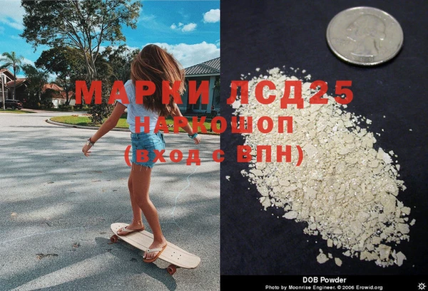 стаф Алзамай