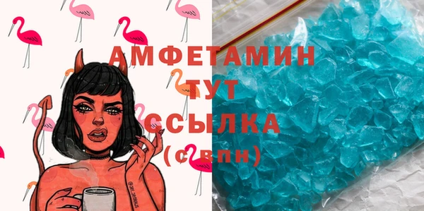 стаф Алзамай