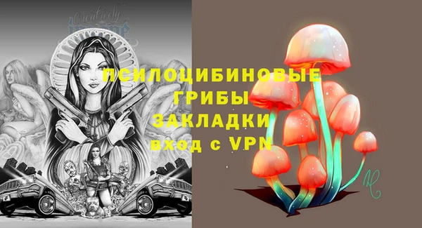 ГАЛЛЮЦИНОГЕННЫЕ ГРИБЫ Новодвинск