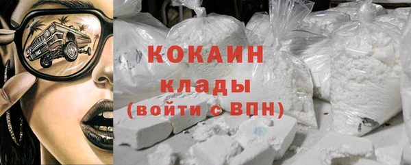 хмурый Абаза