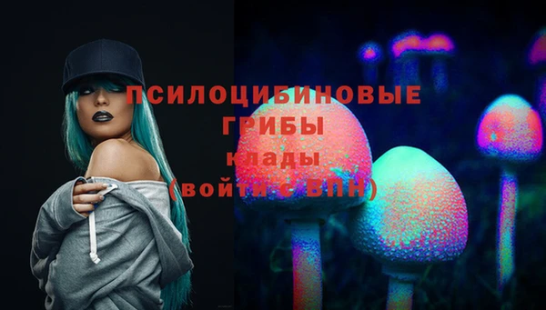 стаф Алзамай
